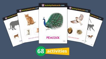 animals and birds flash cards